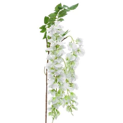 Wisteria Spray Cream 102Cm