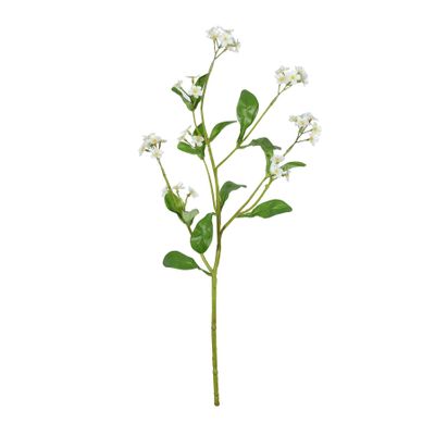 Forget-Me-Not Spray Cream - 49cm