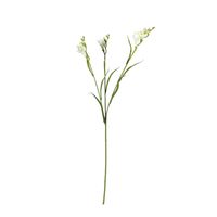 Freesia Spray - 63cm