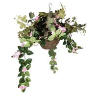 Petunia Hollyhock  Hanging Basket