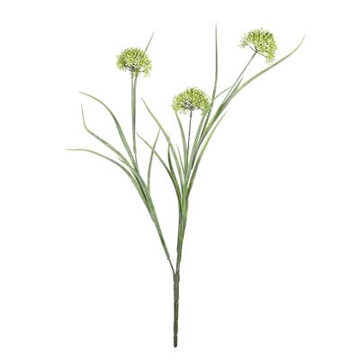 Exterior Allium Bush U.V - Green - 48cm