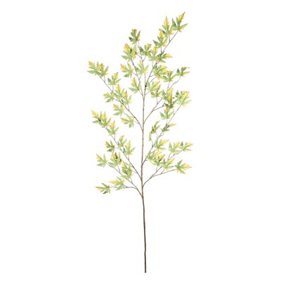 Maple Leaf Green - 172cm