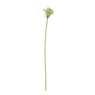 Agapanthus Stem Green - 77cm