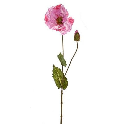 Pretty Poppy Purple 67Cm