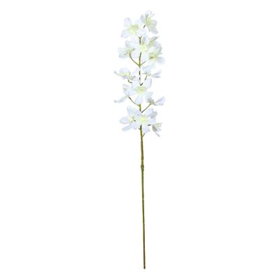 Dendrobium Spray Cream - 72cm