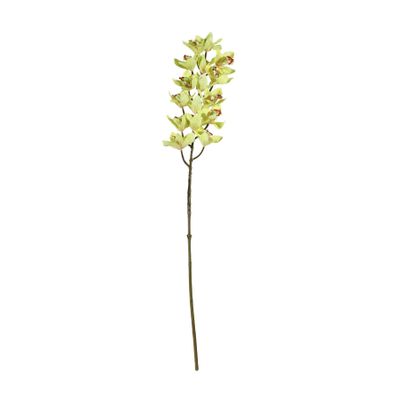 Cymbidium Spray - Yellow - 80cm
