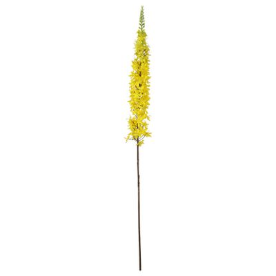 Single Foxtail Lily - Yellow - 109cm