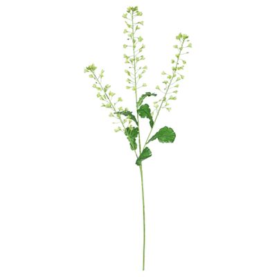 Rapeseed Flower - Green - 111cm