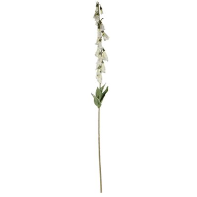 Digitalis Spray Cream - 107cm