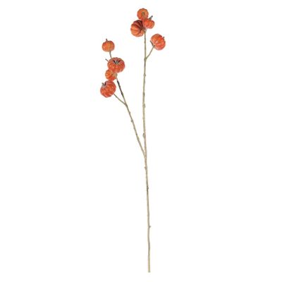 Cushaw Spray - 97cm
