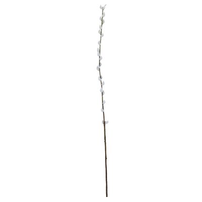 Single Pussy Willow - 89cm