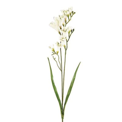 Freesia Spray 2 Heads Cream