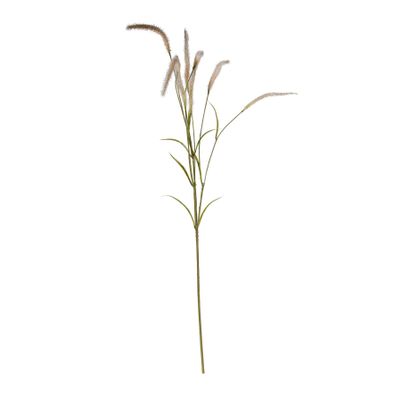 Setaria Grass Spray Cream - 105cm