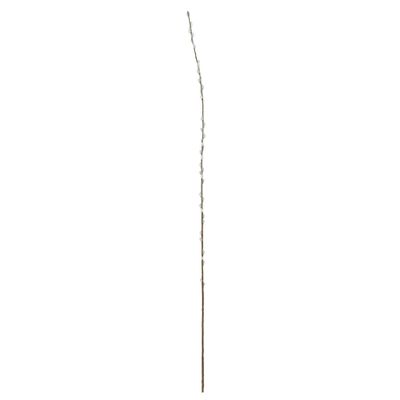 Single Salix - 182cm