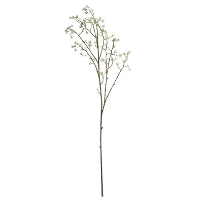 Wild Carrot Cream - 91cm