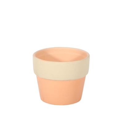 Terracotta Pot with White Band - Dia 7.5 x H7cm