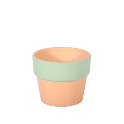 Terracotta Pot with Green Band - Dia 7.5 x H7cm