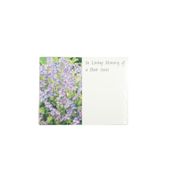 Small Card - loving Memory Dear Aunt - Pk 50