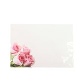Large Card -  Blank - Pink Rose - Pk 6