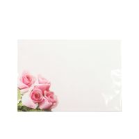 Large Card -  Blank - Pink Rose - Pk 6