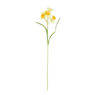 Daffodil Cheerfulness Yellow