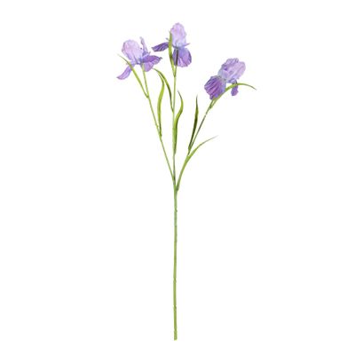 Iris Spray Purple 60cm