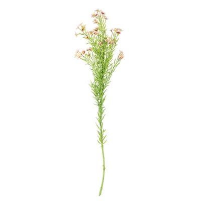 Waxflower Flower Pink 68cm