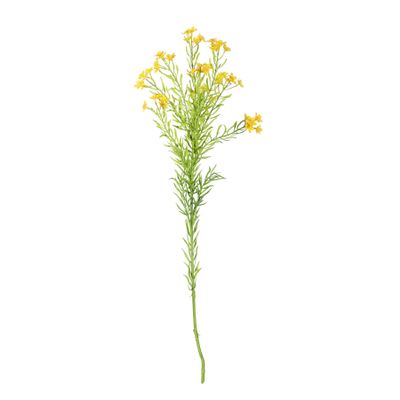 Waxflower Flower Yellow 68cm