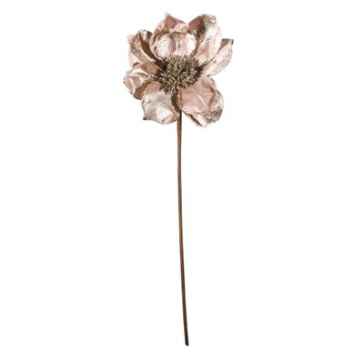 Single Magnolia Head - Champagne -17x45cm