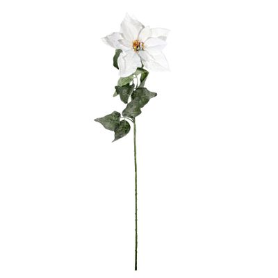 Frosted Velvet Poinsettia Stem - White - 70 x 20cm