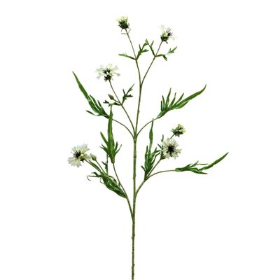 Botanica Cornflower Spray - Cream  - 92cm