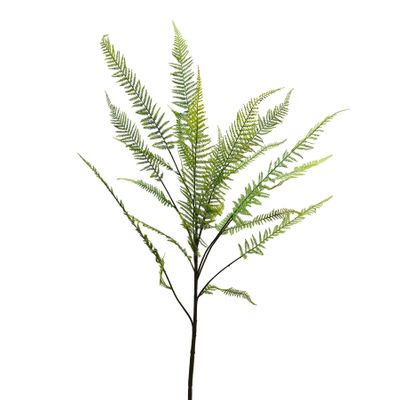 Botanica Chamaedorea Branch -160cm