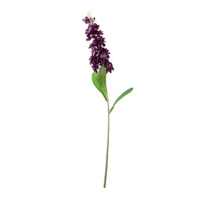 Garden Stock Flower - Purple