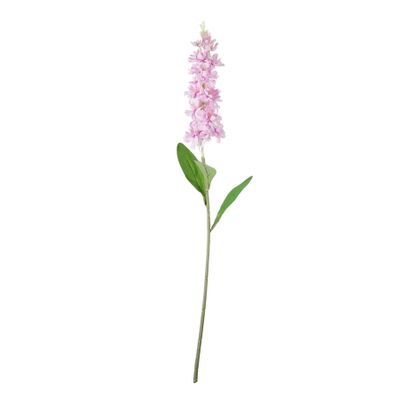 Garden Stock Flower - Pastel Violet