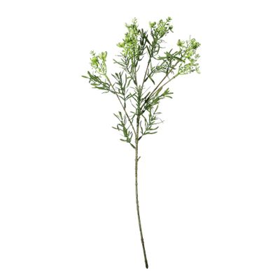 Essential Broom Bloom - Green