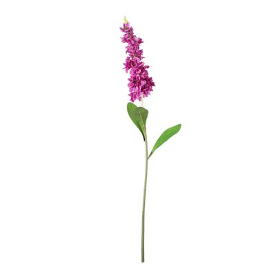 Garden Stock Flower - Violet