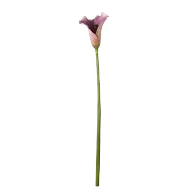Botanica Calla Lily Large - Purple - 82cm