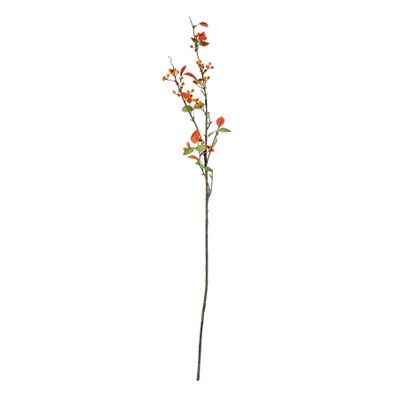 Glamis Berry Spray - Orange