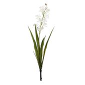 Botanica - Mini Cymbidium Plant - White - 45cm