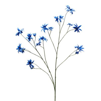 Botanica Edelweiss - Blue - 123cm
