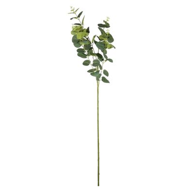 Essential Eucalyptus Spray - Light Green