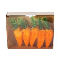 5 Carrots in Display Box
