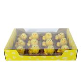 12 Chicks in Nest in Display Box