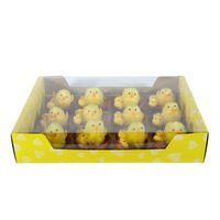 12 Chicks in Nest in Display Box