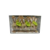 6 Bunnies in PVC Box