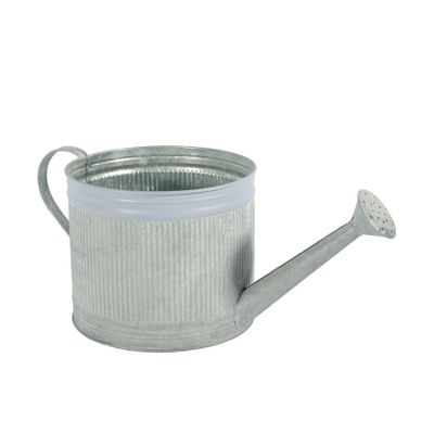 18.5cm Zinc Watering Can with Blue Rim