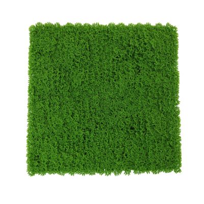Exterior Moss Wall - Green - 50 x 50cm