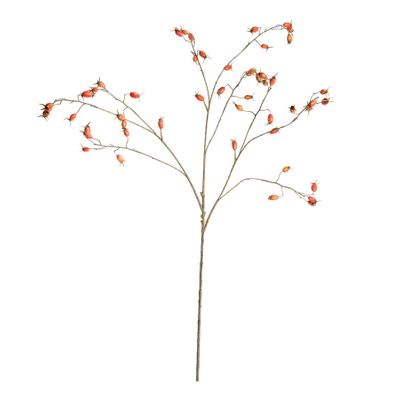 Botanica Rose Hip Branch - 106cm