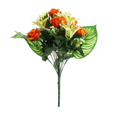 Pembroke Open Rose with Tiger Lily Mixed Bush x 18 - Orange