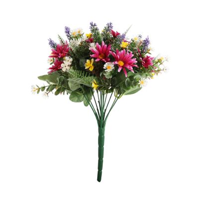 Pembroke Wild Daisy Bush x 12 - Purple